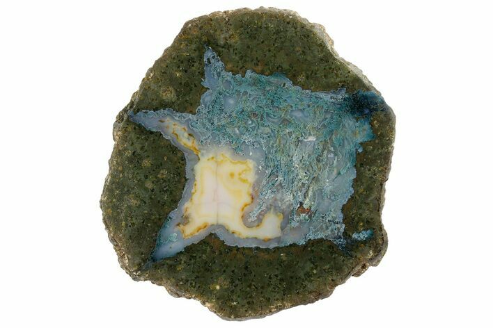 Polished Thunderegg Half (Moss Agate) - Lucky Strike Mine, Oregon #180589